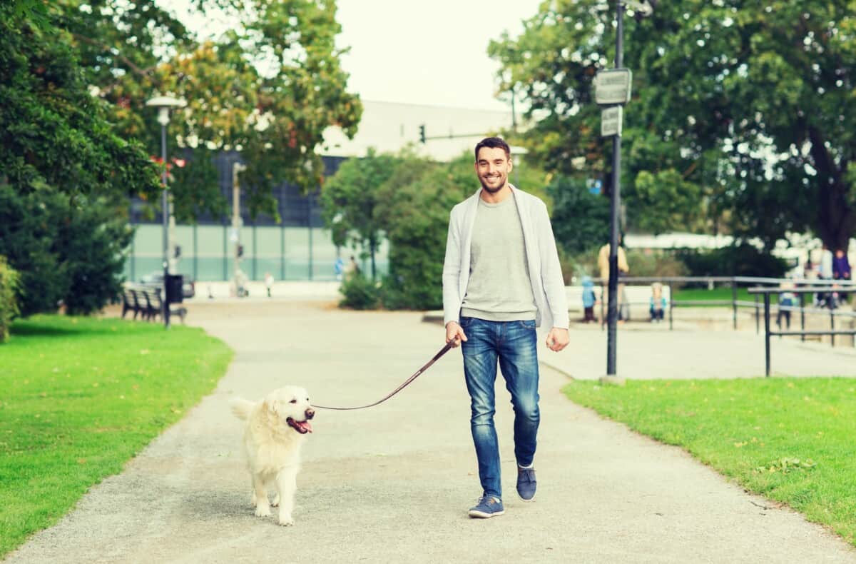 happy man with labrador dog walking in city